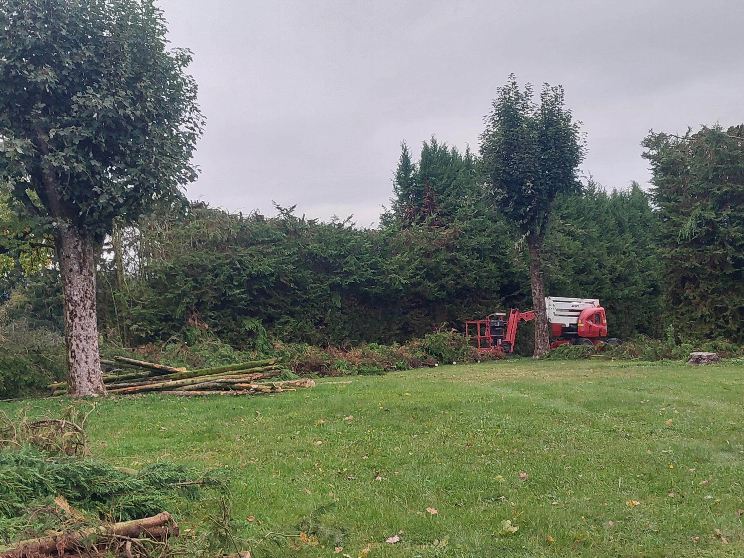 Jardin paysager – Luxembourg