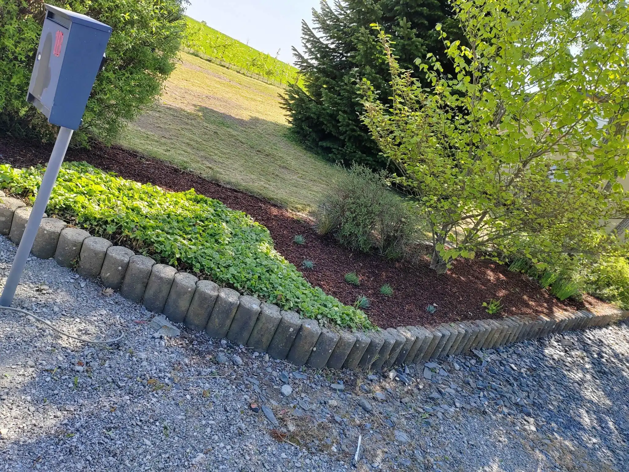 plantation 2 | Nicolay Jardin, Jardinier paysagiste en Belgique et au Luxembourg