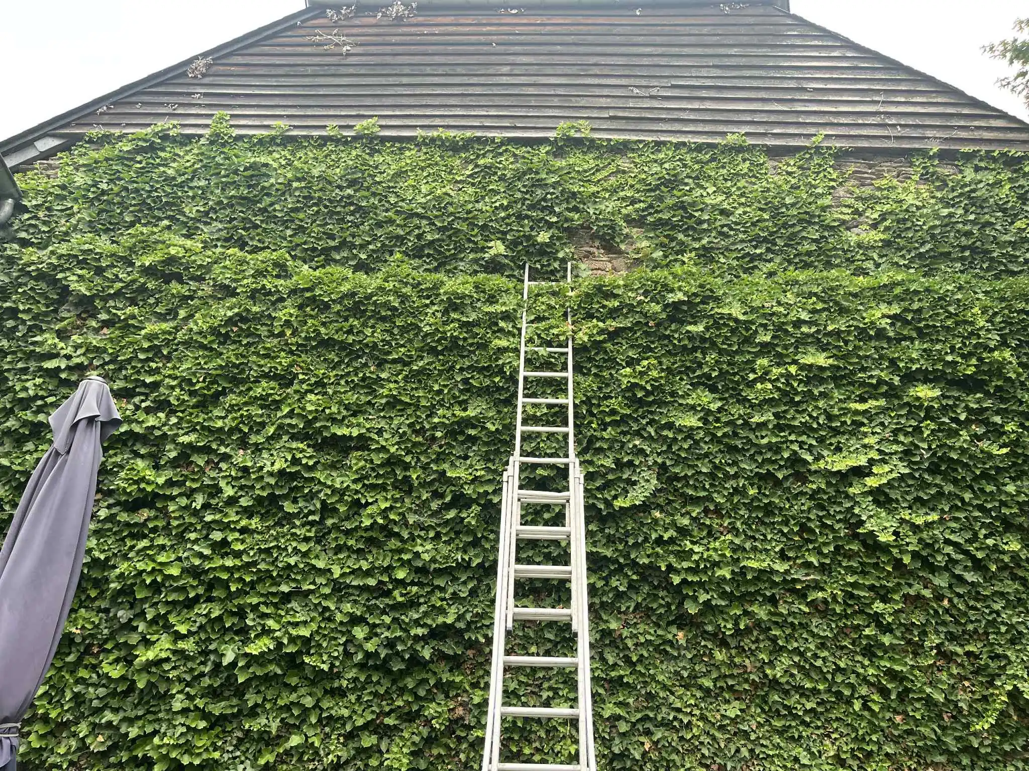 Création d'espace vert par paysagiste Luxembourg